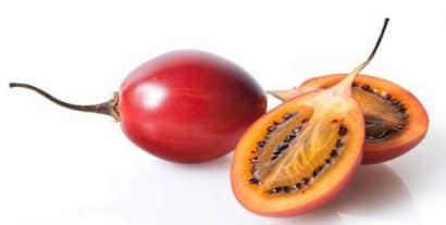 sementes de tamarillo tomate de arvore 2 17 e1494881722392