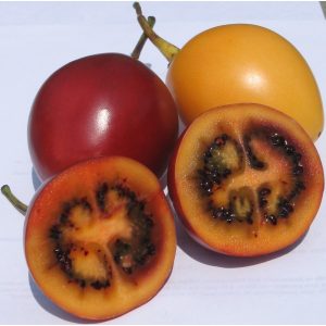 sementes de tamarillo tomate de arvore 2 19