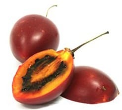 sementes de tamarillo tomate de arvore 2 2 e1496854220115