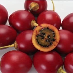 sementes de tamarillo tomate de arvore 2 5 e1494882454731