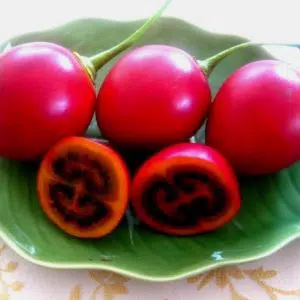 sementes de tamarillo tomate de arvore 2 9 e1494882283623