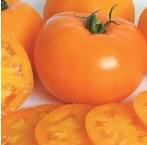 Sementes de Tomate Laranja
