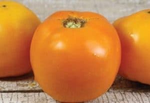 sementes de tomate laranja 2 15 e1494889141298