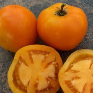 sementes de tomate laranja 2 5 e1494889725281