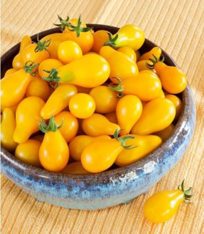 Sementes de Tomate Yellow Plum (Yellow Pear)