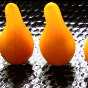 sementes de tomate yellow plum yellow pear 2 8 e1494883138861