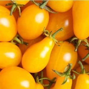 sementes de tomate yellow plum yellow pear 2 9 e1494883111971