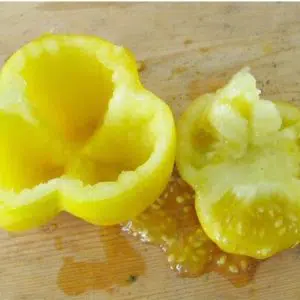 sementes de tomate yellow stuffer 2 13 e1494883817176