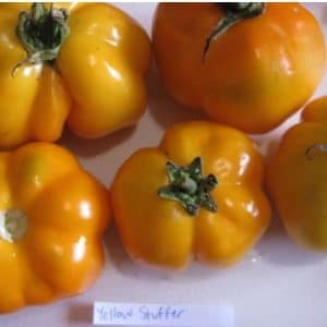 Sementes de Tomate Yellow Stuffer