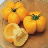 sementes de tomate yellow stuffer 8117