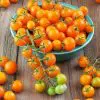 sementes tomate cereja laranja 0418 e1494942289835