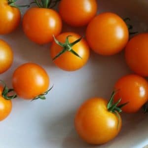 sementes tomate cereja laranja 2 10 e1494940099190