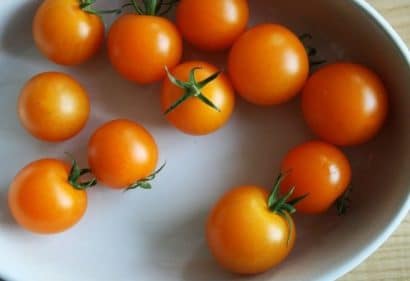 sementes tomate cereja laranja 2 10 e1494940099190