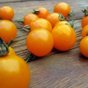 sementes tomate cereja laranja 2 11 e1494940073345