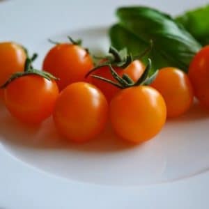 sementes tomate cereja laranja 2 13 e1495937017966