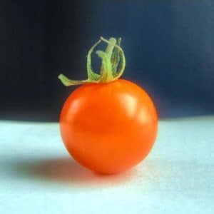 sementes tomate cereja laranja 2 15 e1494940001588