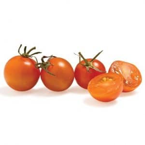 sementes tomate cereja laranja 2 19 e1494939891671