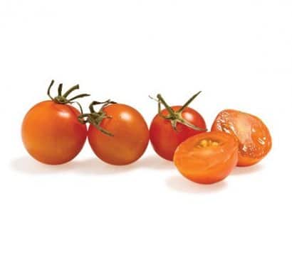 sementes tomate cereja laranja 2 19 e1494939891671