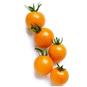 sementes tomate cereja laranja 2 2 e1494942244873