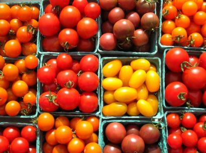 sementes tomate cereja laranja 2 21 e1494939795260