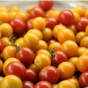 sementes tomate cereja laranja 2 6 e1494940223811