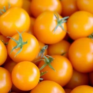 sementes tomate cereja laranja 2 9 e1494940127920