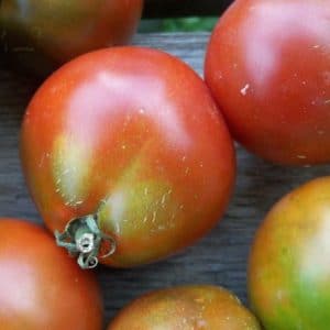 sementes tomate trifele japones 2 12 e1494884593458