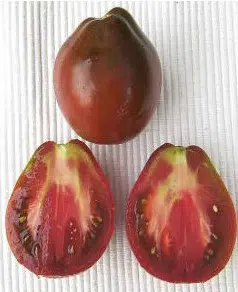 sementes tomate trifele japones 2 2 e1494888980352