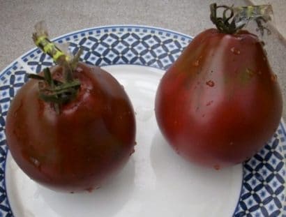 sementes tomate trifele japones 2 7 e1494888785261