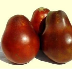 sementes tomate trifele japones 2 8 e1494888743300