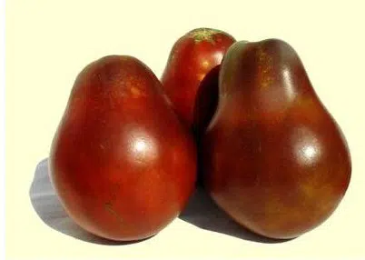 sementes tomate trifele japones 2 8 e1494888743300