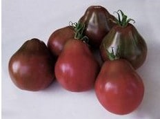 sementes tomate trifele japones 3576 e1494889066878