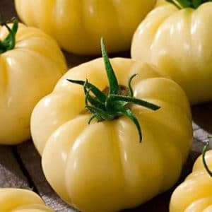 tomate great white beefsteak organico 2 2 e1495113750388