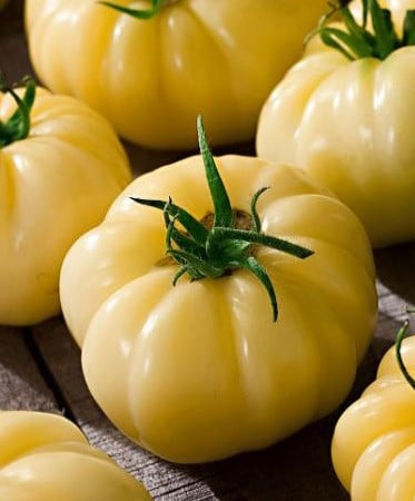 tomate great white beefsteak organico 2 2 e1495113750388
