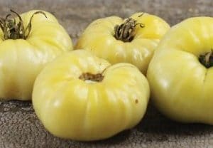 tomate great white beefsteak organico 2 3 e1495053048294