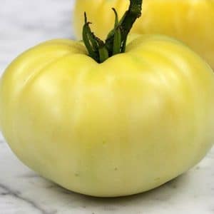 tomate great white beefsteak organico 2 5 e1495052991119