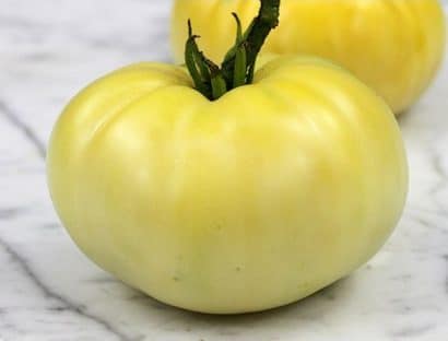 tomate great white beefsteak organico 2 5 e1495052991119