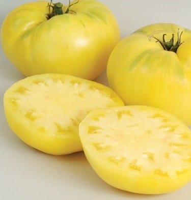 tomate great white beefsteak organico 7778 e1495113867849