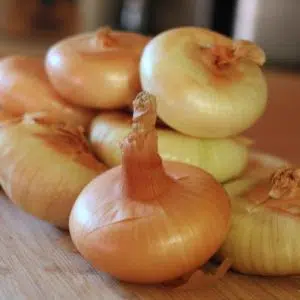 sementes cebola yellow cipollini 2 16 e1494872086681