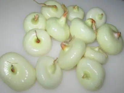 sementes cebola yellow cipollini 2 2 e1494873087589