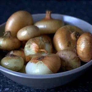 sementes cebola yellow cipollini 2 7 e1495136126549