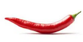 sementes organicas de pimenta cayenne 2 12 e1495135936615