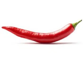 sementes organicas de pimenta cayenne 2 14 e1495135886548