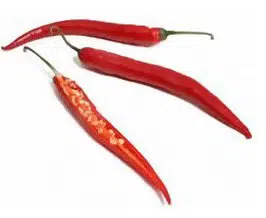 sementes organicas de pimenta cayenne 2 8 e1495135965756