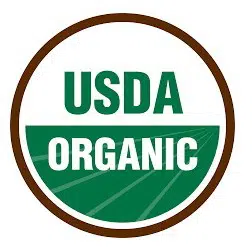 erva dos gatos catnip organico 2 e1495135616385