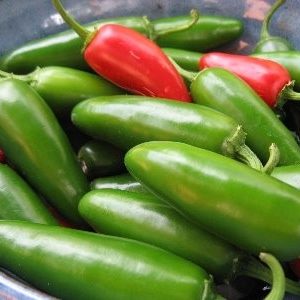 pimenta jalapeno organico 2