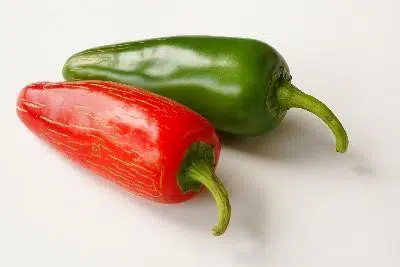 pimenta jalapeno organico 2 6