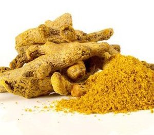 bulbo de curcuma domestica acafrao da terra 2 3 e1495135383654