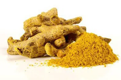 bulbo de curcuma domestica acafrao da terra 2 3 e1495135383654