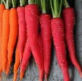 comprar organico cenoura atomic red 2 14 e1494731529964